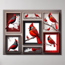 Search for cardinal bird art Animal