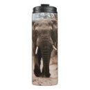 Search for sand brown mugs Wild