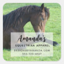 Search for laying Equestrian