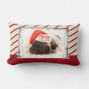 Search for pug cushions Typography