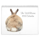 Search for bunny calendars Pig