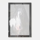 Search for horse post it notes Photography