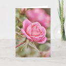 Search for 2 corinthians postcards Hope