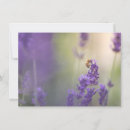 Search for honeybees cards Floral