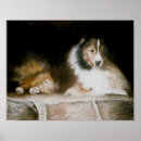 Search for sheltie art Dogs
