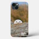Search for owl pictures cases Birds and blooms