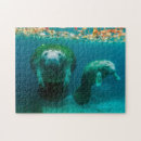 Search for manatee puzzles Florida