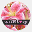 Search for stargazer lily stickers Lilies