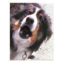Search for collie pet posters Cute