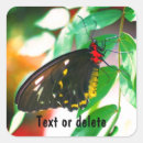 Search for black butterfly stickers Animal