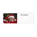 Search for child return address labels Dog