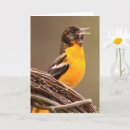 Search for bird watcher birthday cards Nature