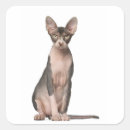 Search for 7 months stickers Cute