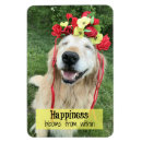 Search for blooms magnets Happiness