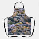 Search for rock aprons Water