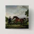 Search for stallion horse badges Wild