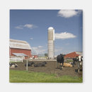 Search for cow magnets Field