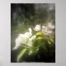 Search for focal Floral