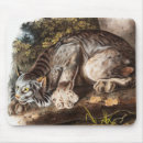 Search for zoology mousepads Wildlife