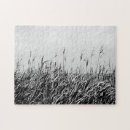 Search for dune puzzles Photography