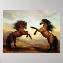 Search for paint stallion posters Horses