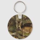 Search for deer antlers key rings Wildlife