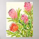 Search for tropical flowers posters Watercolor