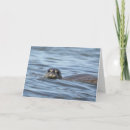 Search for seal birthday cards Nature