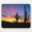 Search for sonoran electronics Arizona