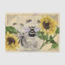 Search for french bee Bumblebee