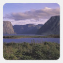 Search for brooks stickers Np