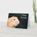 Search for hamster birthday cards Animal