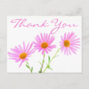 Search for dasies cards Daisy