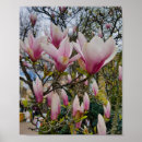 Search for large flower posters Pink