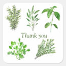 Search for thyme stickers Herbs