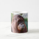 Search for love monkey mugs Funny