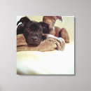 Search for indoors canvas prints Square