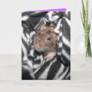 Search for zebra print cards Cute
