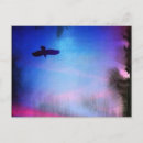 Search for bird silhouette postcards Colourful
