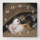 Search for calico kitten art Animal