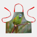 Search for macaw aprons Tropical bird