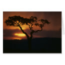 Search for masai mara postcards Tree