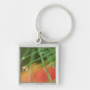 Search for pine trees key rings Autumn