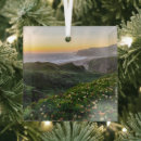 Search for santa cruz christmas tree decorations Nature