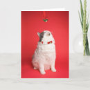 Search for kitties christmas cards Humour