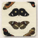 Search for insects coasters Butterflies