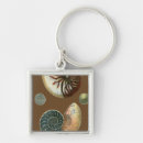 Search for shell key rings Conch seashell