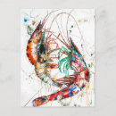Search for crustaceans postcards Shrimp