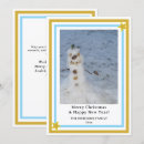 Search for photography christmas cards Blue