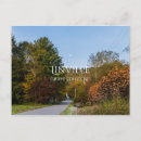 Search for grapes cards invites Autumn